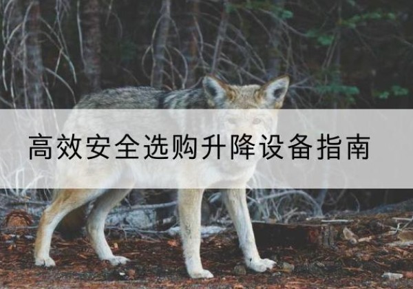 宁陕升降货梯厂家推荐-*安全选购升降设备指南