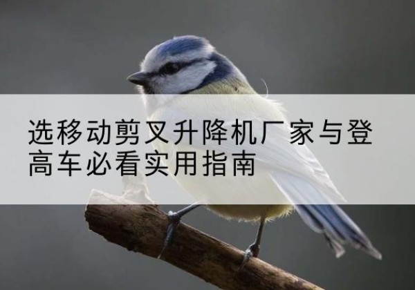 宁陕电动升降机厂家-选移动剪叉升降机厂家与登高车必看实用指南
