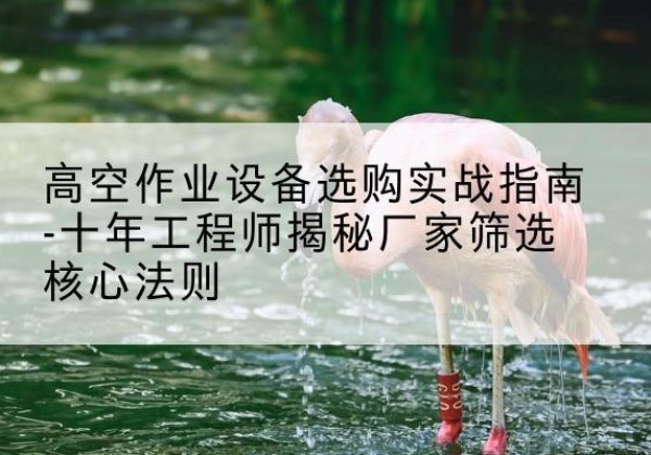 宁陕剪叉式升降机厂家-高空作业设备选购实战指南-十年工程师揭秘厂家筛选核心法则
