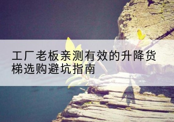 宁陕升降货梯怎么选-工厂老板亲测有效的升降货梯选购避坑指南